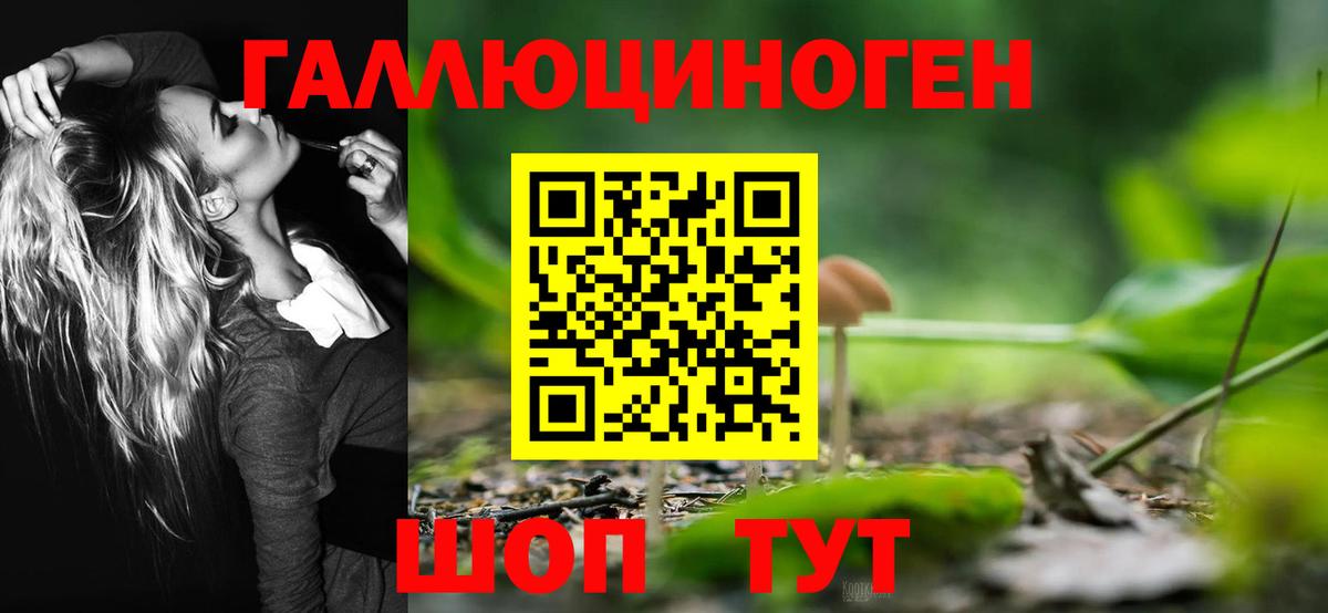 Псилоцибиновые грибы Psilocybine cubensis  Вход с VPN  Галлюциногенные грибы мицелий  Уварово 
